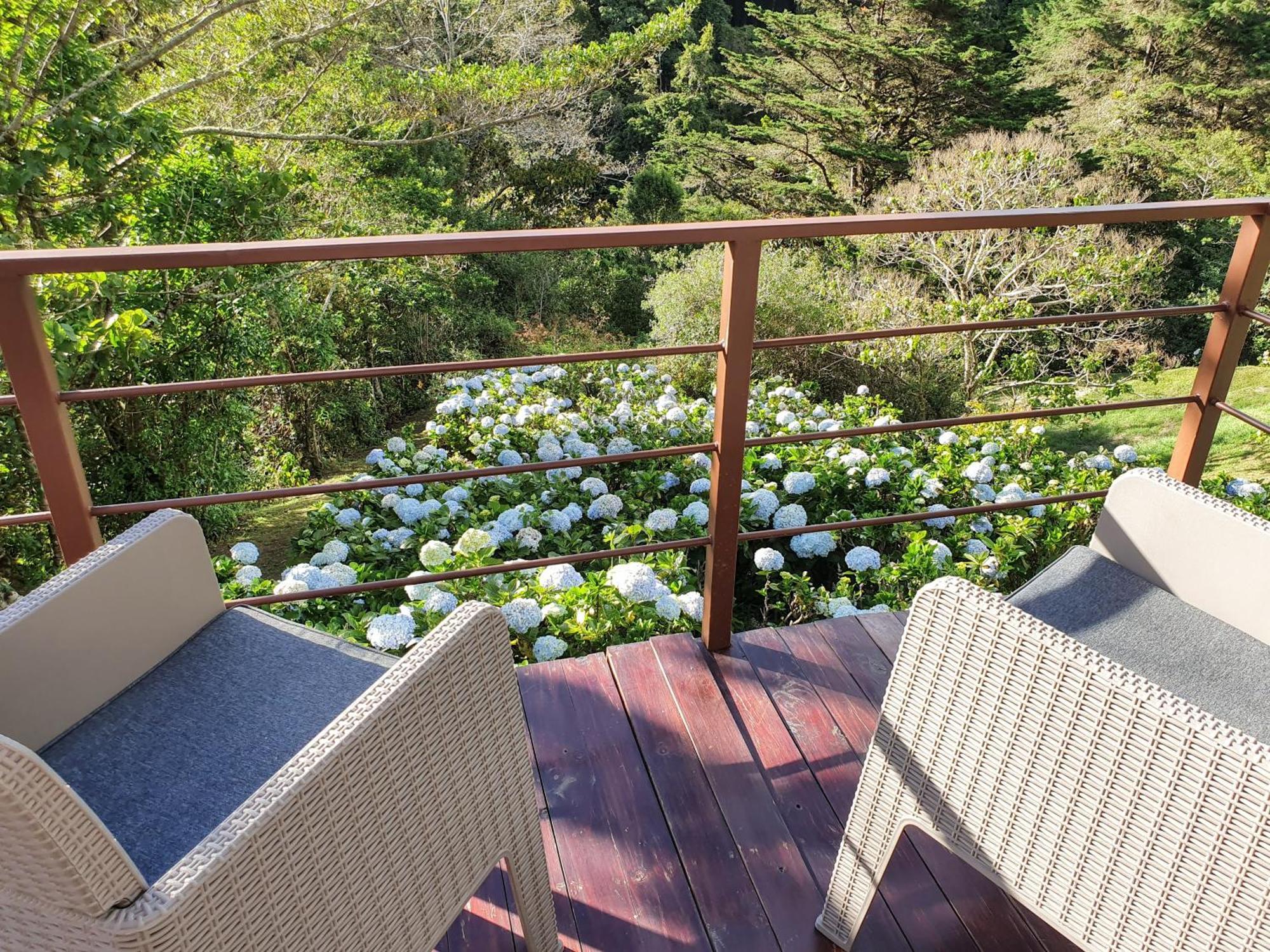Vila Quinta Esencia Alajuela Exteriér fotografie