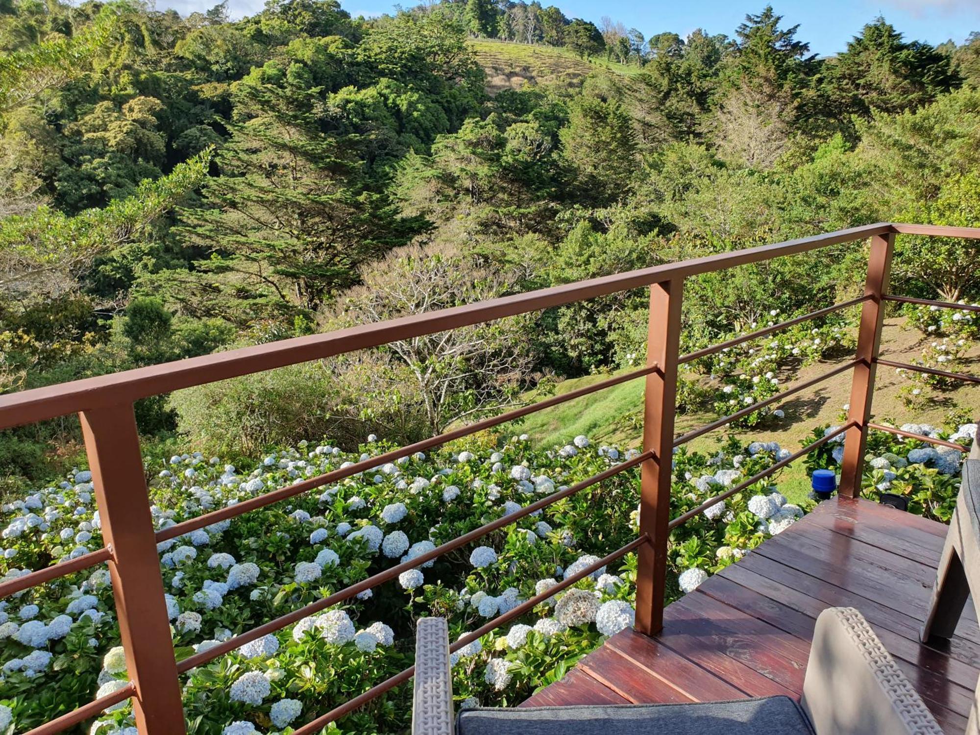 Vila Quinta Esencia Alajuela Exteriér fotografie