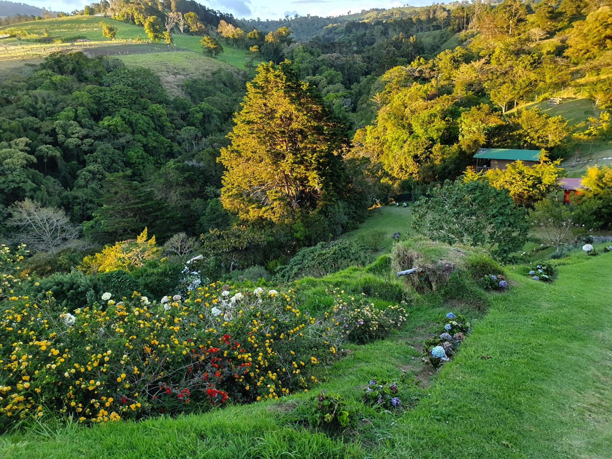 Vila Quinta Esencia Alajuela Exteriér fotografie