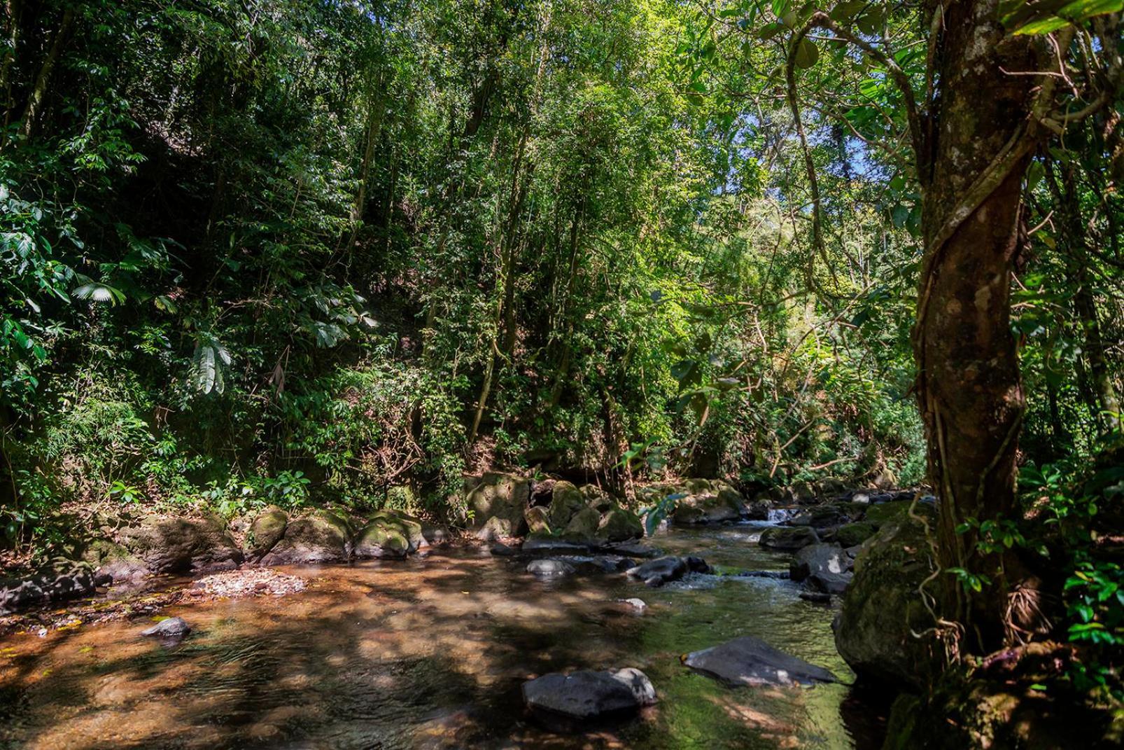 Vila Quinta Esencia Alajuela Exteriér fotografie